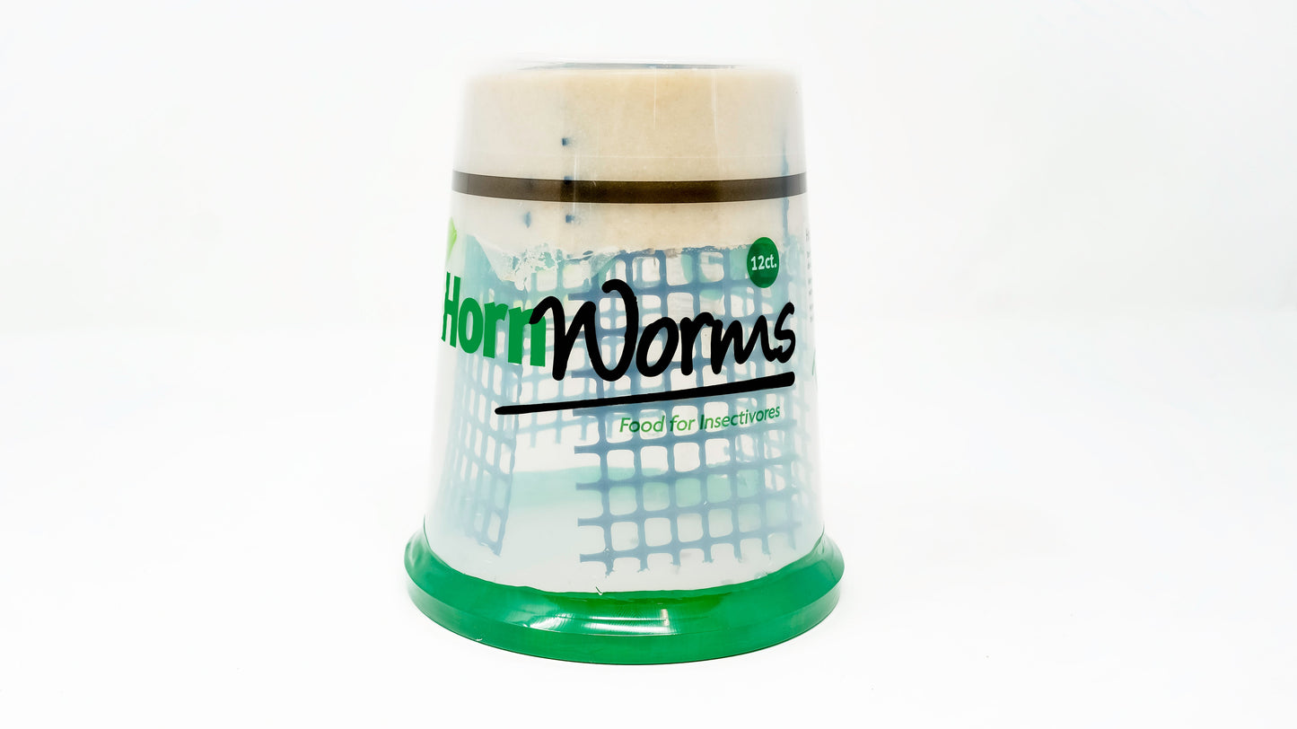 Show Bugs-Hornworms 12ct (Saturday)