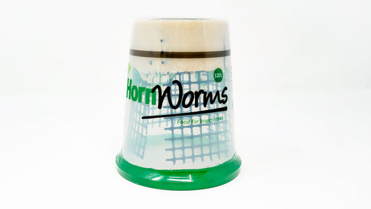 Show Bugs-Hornworms 12ct (Saturday)