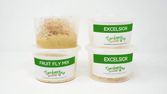 Fruit Fly Culture Kit