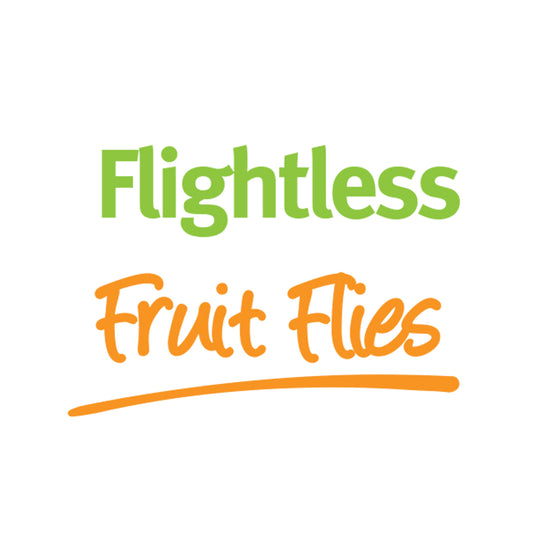 Show Bugs - Vita-Bugs Fruit Flies (Saturday)