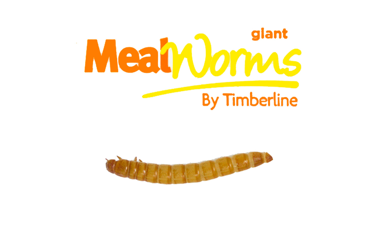 Giant Mealworms-Bulk – TimberlineFresh