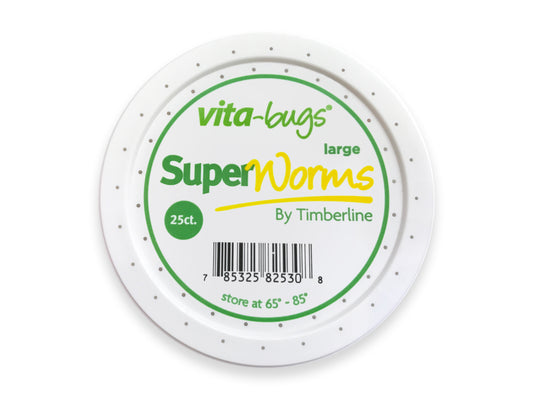 Superworms Box Superworms – TimberlineFresh