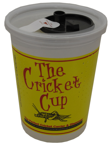 Cricket Cup Case