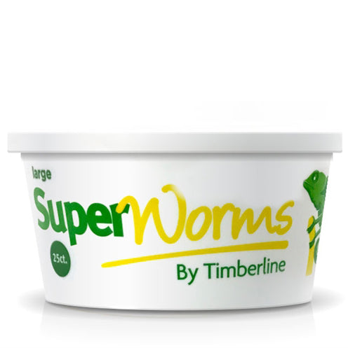 25 count cup large superworms