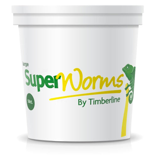 50 count cup large superworms