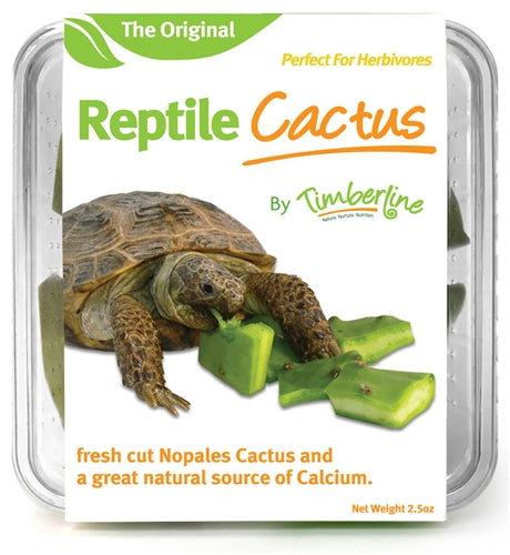 Reptile Cactus 80g cup