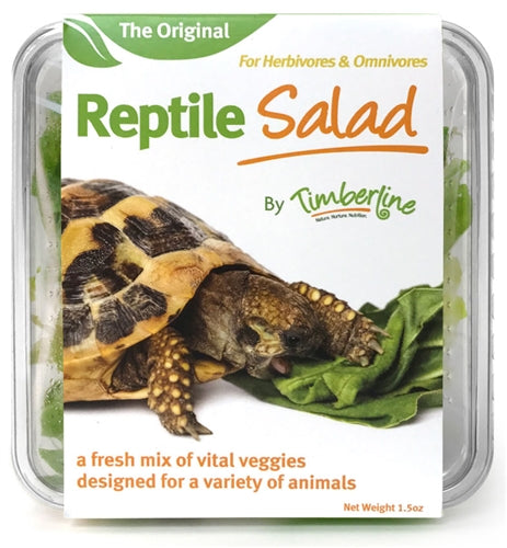 Reptile Salad 40g cup