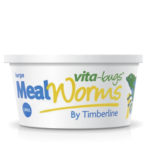 100ct Vita-Bug Large Mealworms Cup