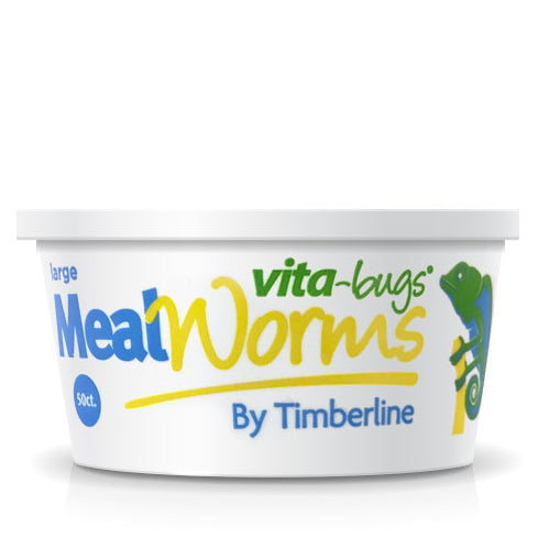 50ct Vita-Bug Large Mealworms Cup