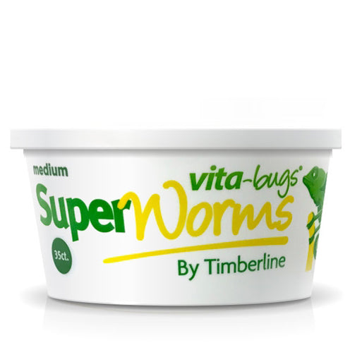 35ct Vita-Bug Medium Superworms Cup