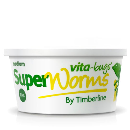 70ct Vita-Bug Medium Superworms Cup