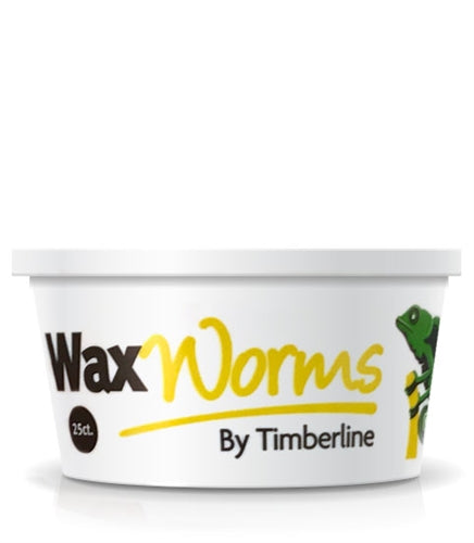 25 count cup waxworms